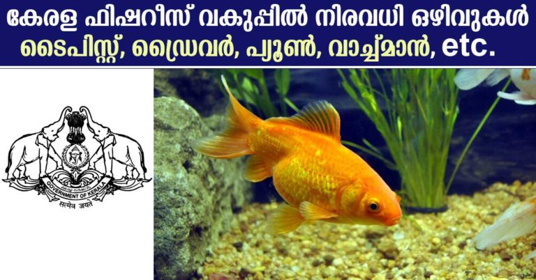 Vacancies in Dept of Fisheries, Kerala | Walk-in interview for CA, Driver, Record Keeper, Typist, Peon & Watchman  posts
