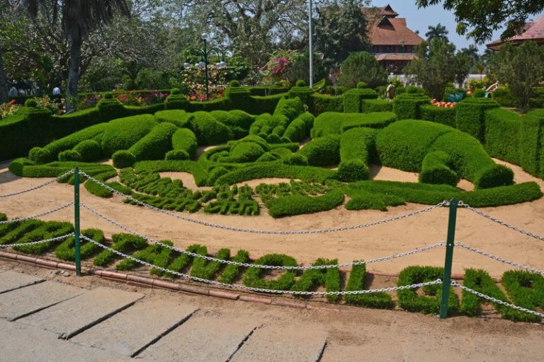 Thiruvananthapuram Botanical Garden Recruitment 2020: Apply Now for Driver Vacancy Thiruvananthapuram Botanical Garden Recruitment 2020: Apply Now for Driver Vacancy