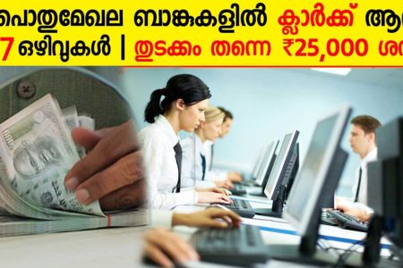 IBPS Clerk 2020: Apply Online Now